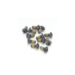 Vis De Fixation De Disque Magura X12